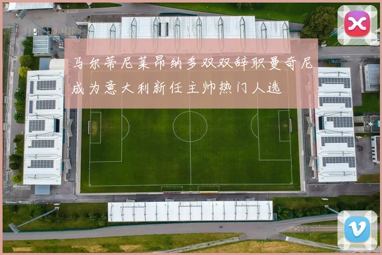 马尔蒂尼莱昂纳多双双辞职曼奇尼成为意大利新任主帅热门人选